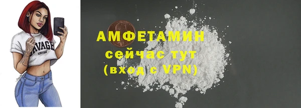 хмурый Бородино