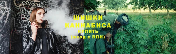 хмурый Бородино