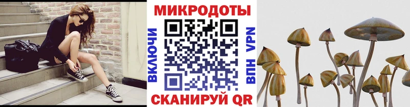 наркота  ссылка на мегу ONION  Псилоцибиновые грибы прущие грибы  Чернушка 