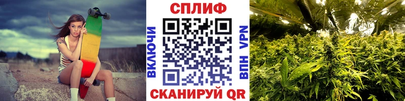 Бошки марихуана SATIVA & INDICA  Чернушка 
